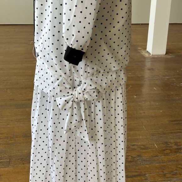 1920s inspired vintage, sheer polkadot, flapper dress - Picture 7 of 11
